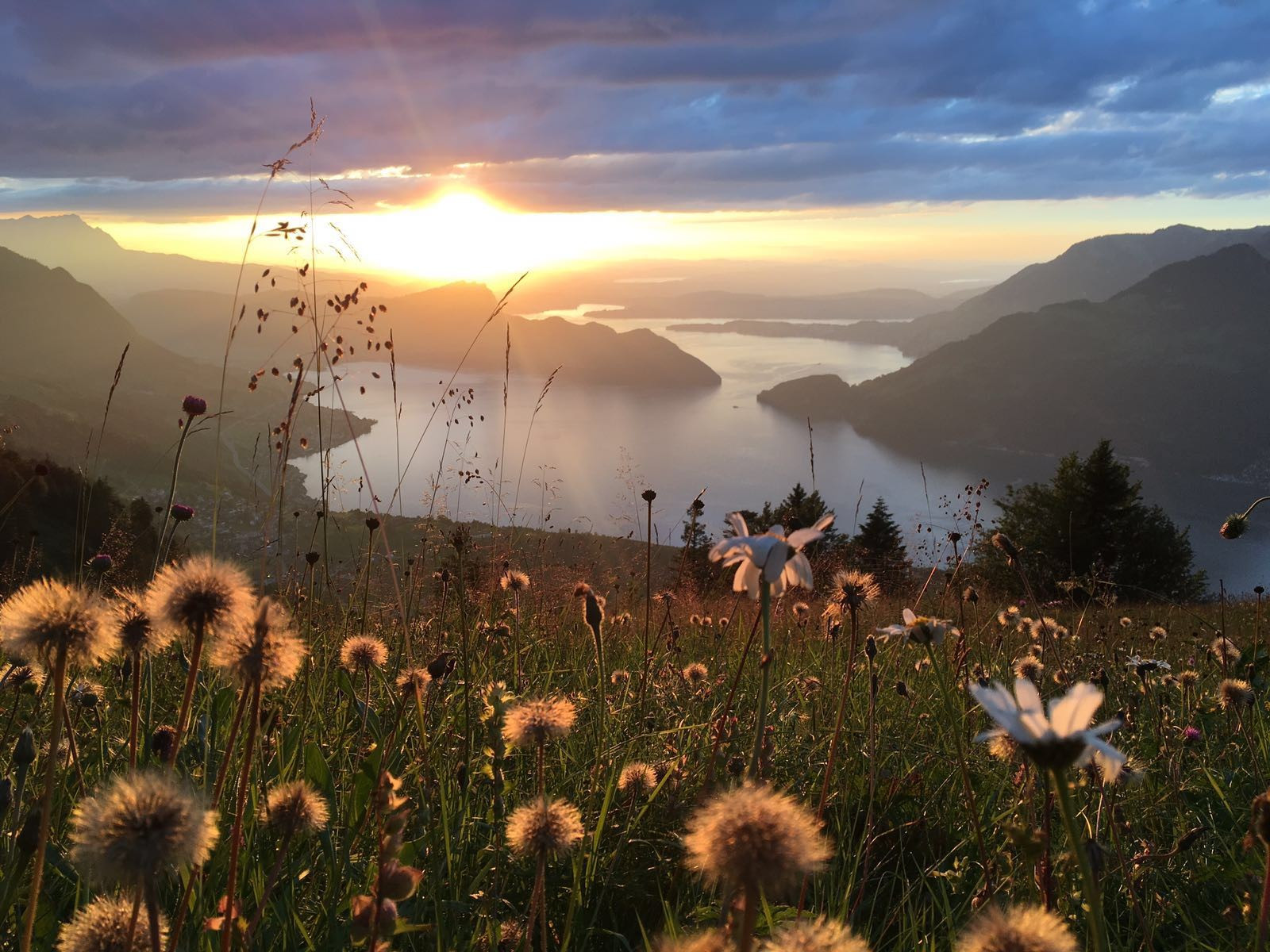 Panorama Vierwaldstättersee Zentralschweiz Niederbauen