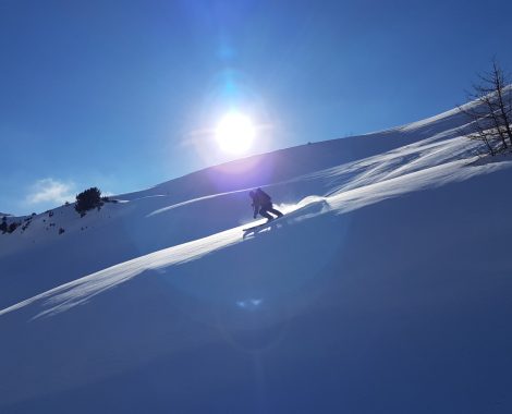 Aletschgletscher Skitour Bettmeralp Bergführer